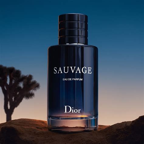 savar dior|sauvage dior sephora.